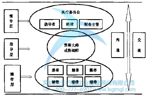 六西格瑪組織結(jié)構(gòu)及團隊成員的作用
