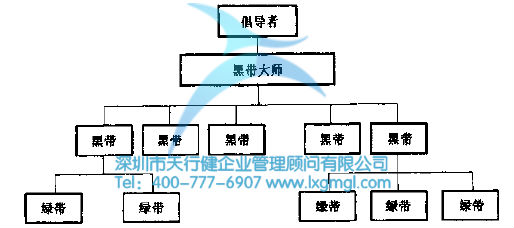六西格瑪組織結(jié)構(gòu)及團隊成員的作用