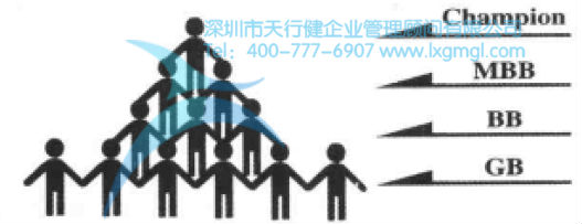 六西格瑪組織結(jié)構(gòu)及團隊成員的作用