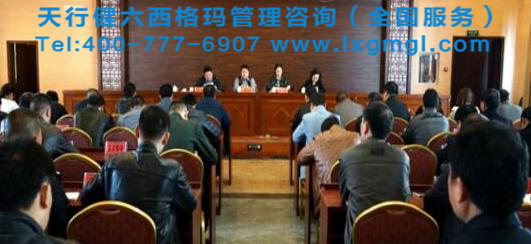 精益六西格瑪啟動大會