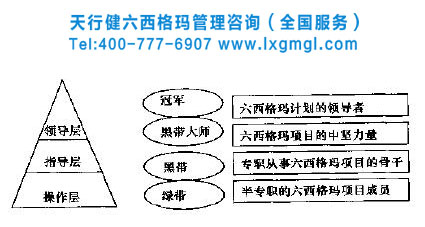 六西格瑪管理團隊組織模式創新
