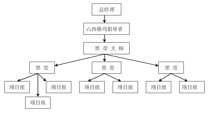 六西格瑪項目執(zhí)行團隊的人員結構剖析    