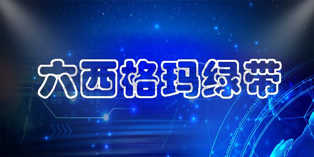 六西格瑪綠帶手冊之六西格瑪管理解決企業難題的作用