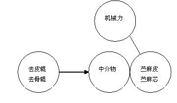 基于TRIZ理論創新苧麻剝麻機