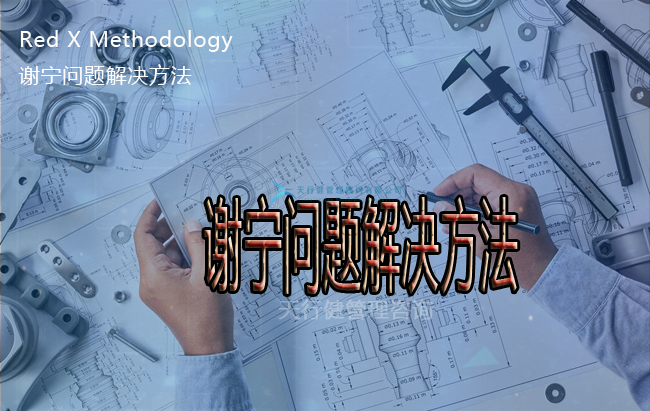 Red X Methodology（謝寧問(wèn)題解決方法）培訓(xùn)課程